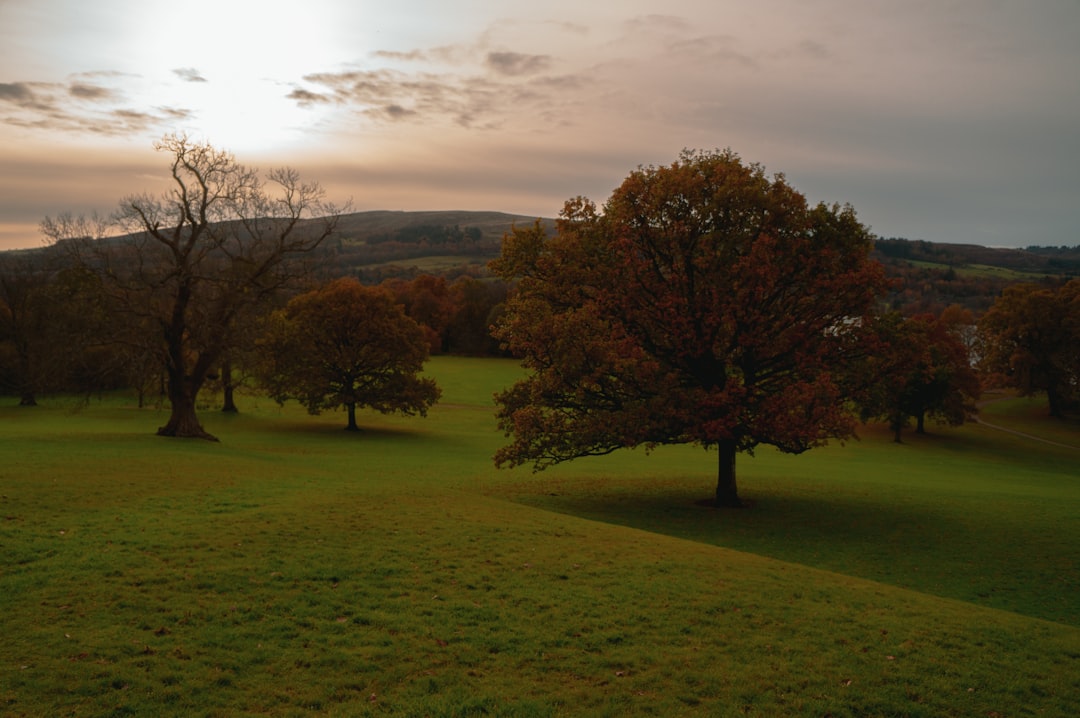 Discover Loch Lomond: Scotland's Gem | Secret World Trip Planner