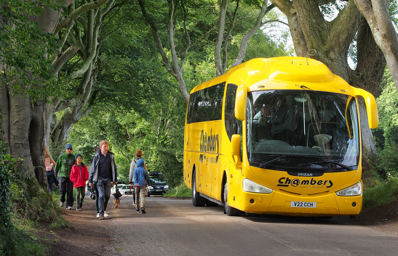 Entdecke Dark Hedges: die verzauberte Straße Nordirlands | Secret World Trip Planner