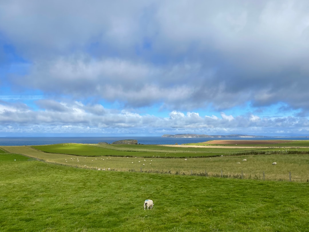 Descubra a Causeway Coast: uma joia natural na Irlanda do Norte | Secret World Trip Planner
