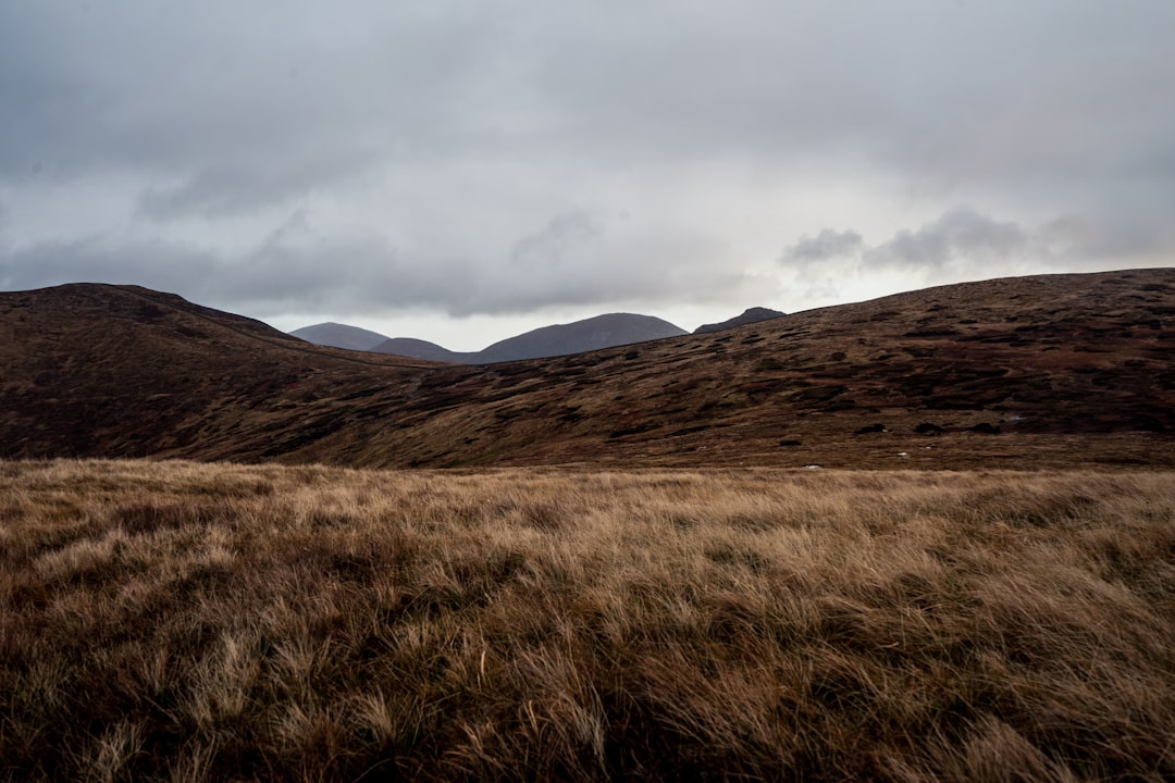 Entdecken Sie die majestätischen Mourne Mountains: Natur und Abenteuer in Nordirland | Secret World Trip Planner
