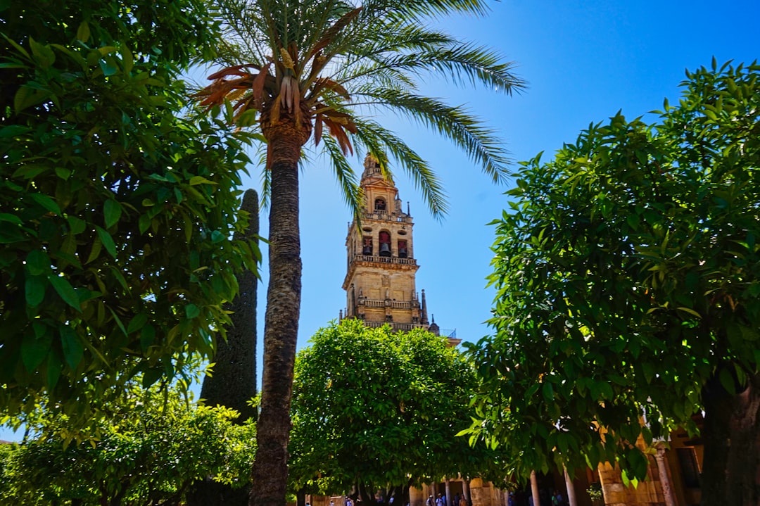 Descubra a magia de Medina Azahara: história e belezas de Córdoba | Secret World Trip Planner