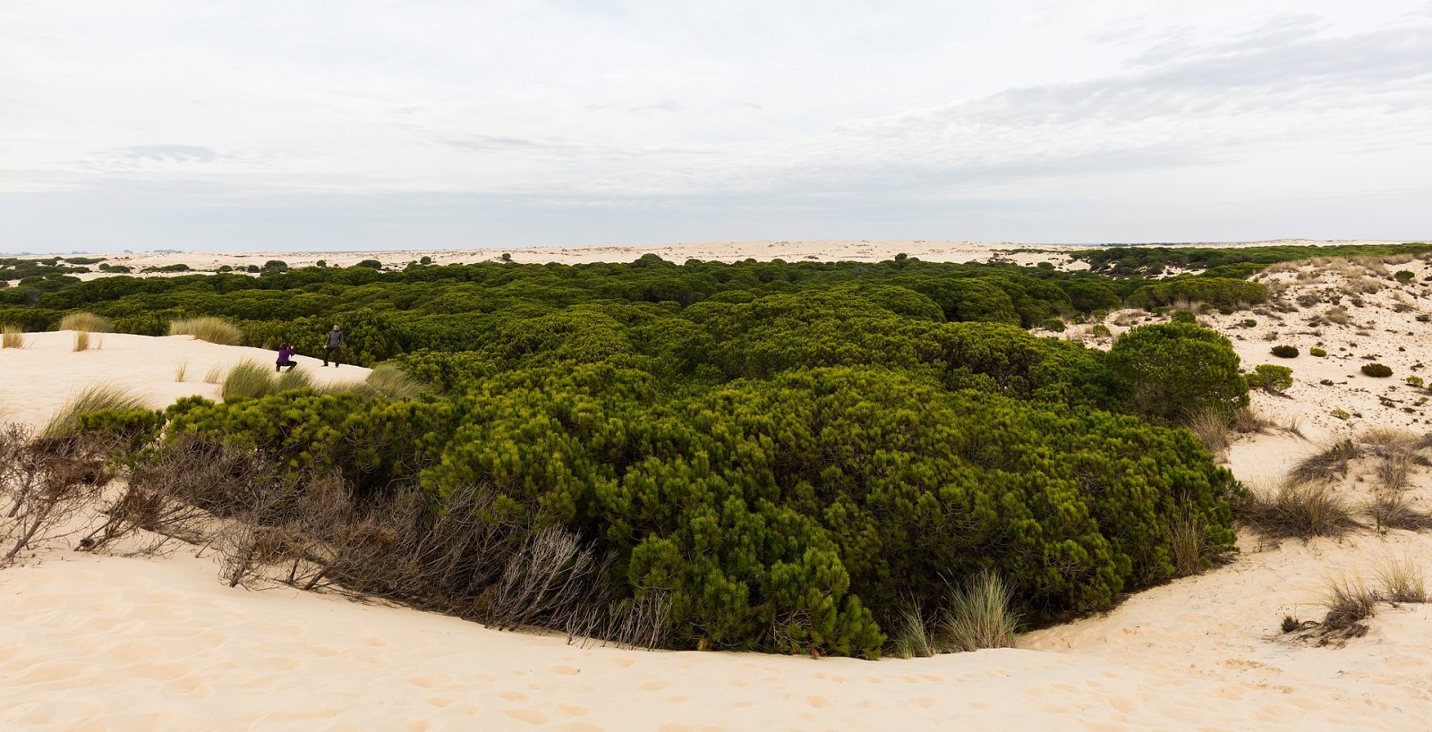 Descubra o Parque Nacional de Doñana na Andaluzia - Ouled Attia | Secret World Trip Planner