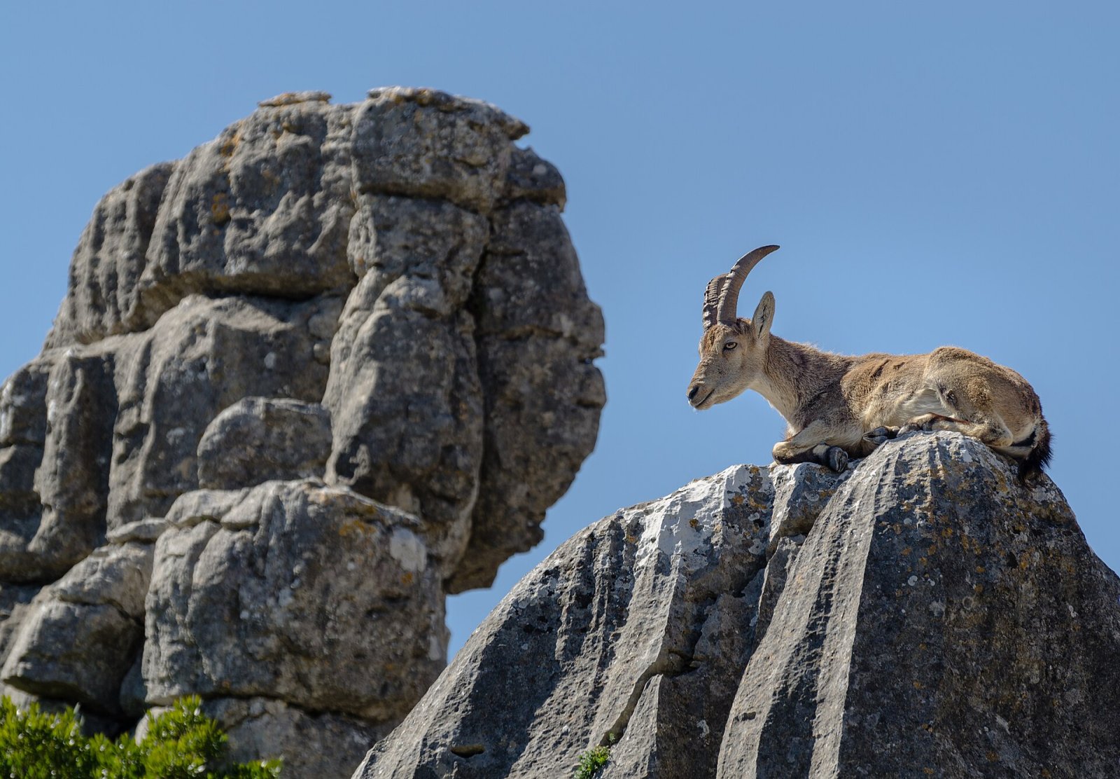 El Torcal de Antequera: A Natural Paradise in Andalusia - Aït Chafâa | Secret World Trip Planner