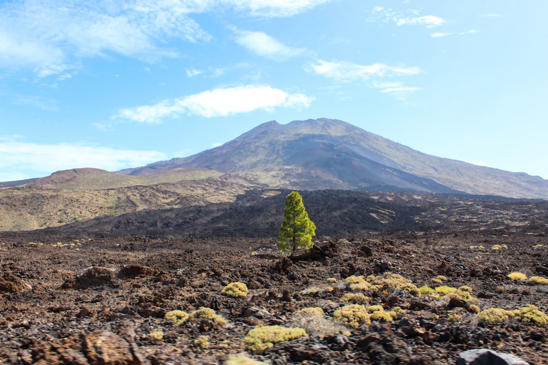 Discover Teide National Park: A Natural Gem of the Canary Islands | Secret World Trip Planner