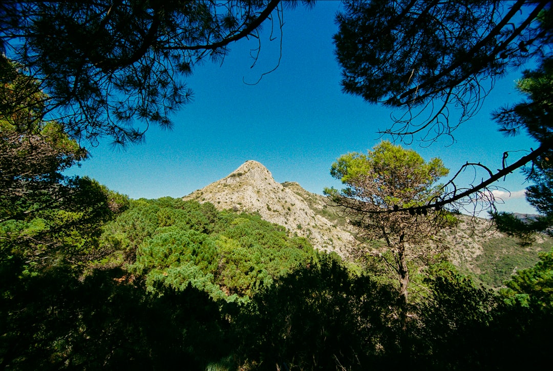 Descubra o Parque Nacional de Garajonay em La Gomera | Secret World Trip Planner