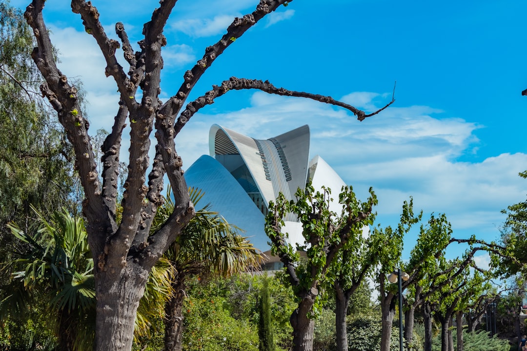 발렌시아의 예술과 과학의 도시를 발견하세요 | Secret World Trip Planner