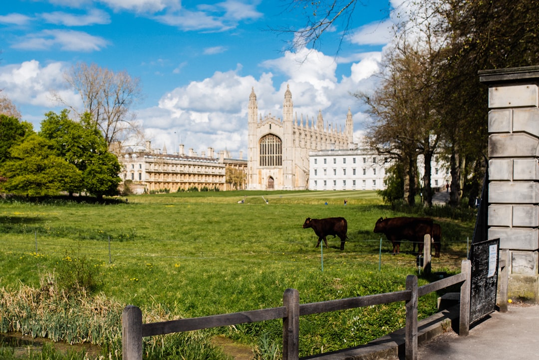Discover Cambridge King's College: A Cultural Gem - Cambridgeshire | Secret World Trip Planner