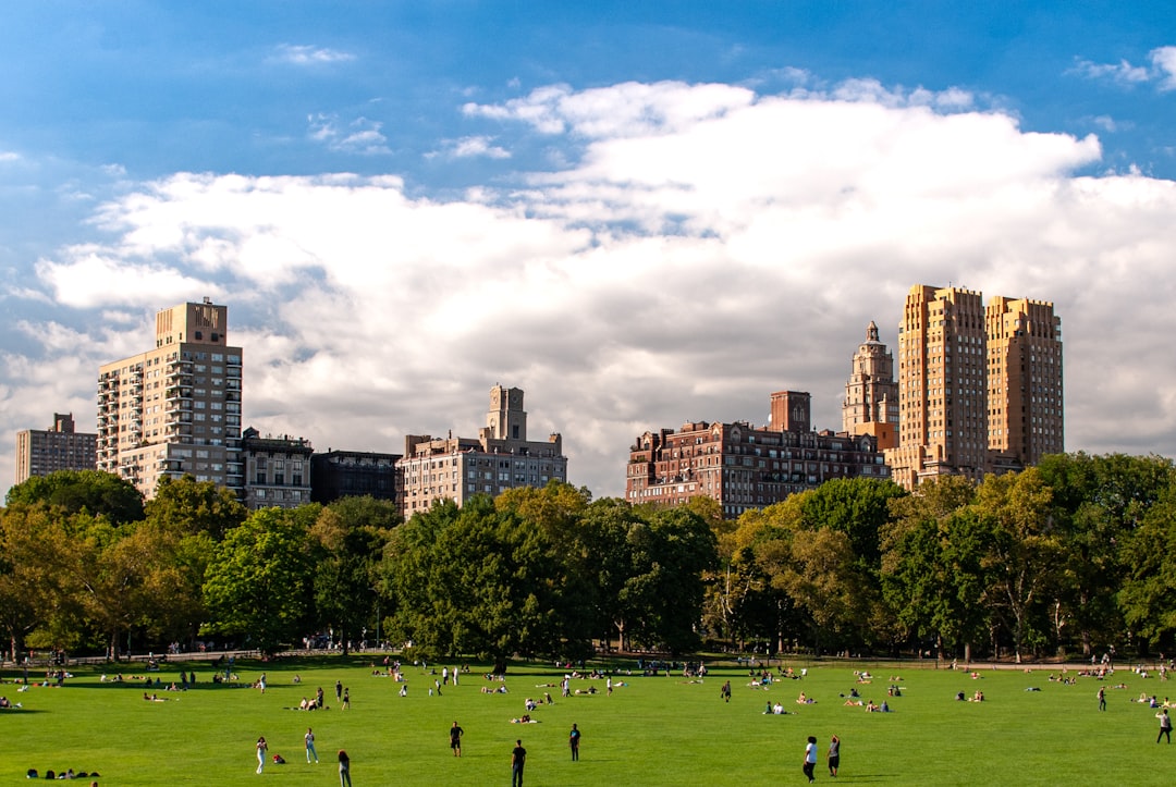 Ворота Кристо и Жанны-Клод в Центральном Парке - New York | Secret World Trip Planner