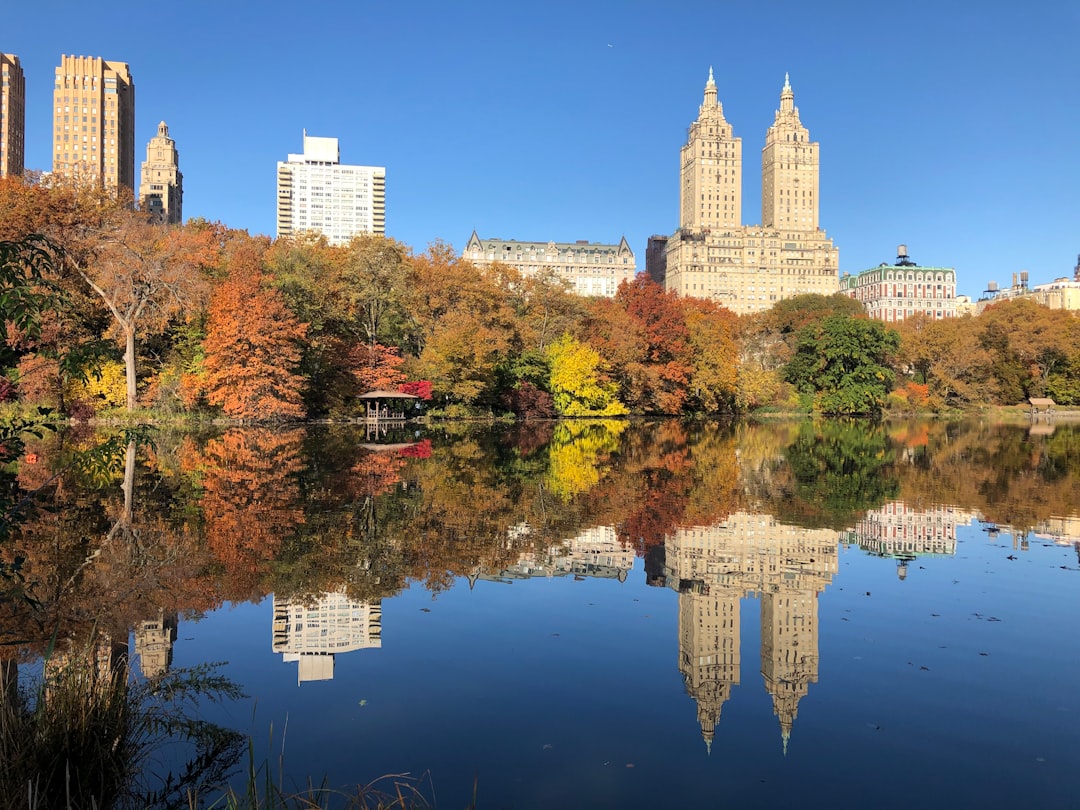 中央公园的克里斯托与让-克劳德之门 - New York | Secret World Trip Planner