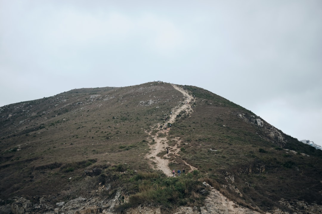 The Giant's Path: Art and Nature in Harmony - 44 Causeway Rd | Secret World Trip Planner