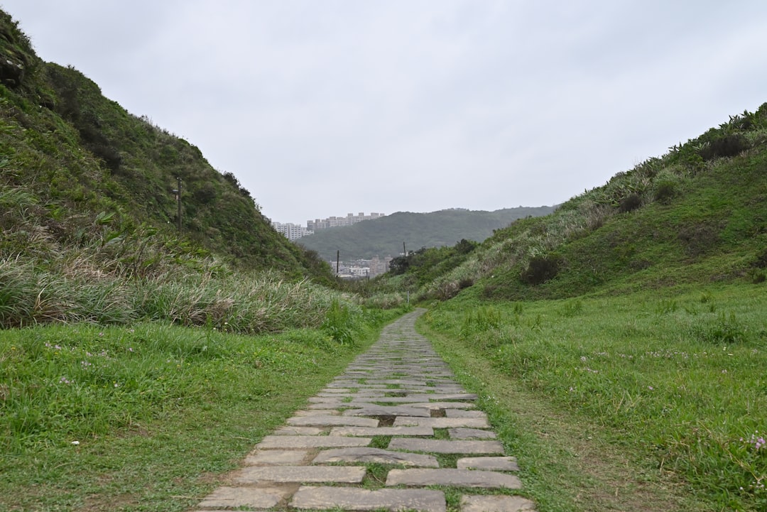 The Giant's Path: Art and Nature in Harmony - 44 Causeway Rd | Secret World Trip Planner