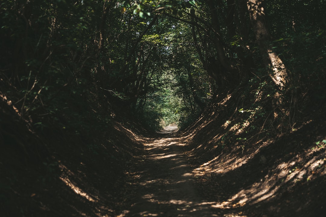 O Caminho do Gigante: Arte e Natureza em Harmonia - 44 Causeway Rd | Secret World Trip Planner