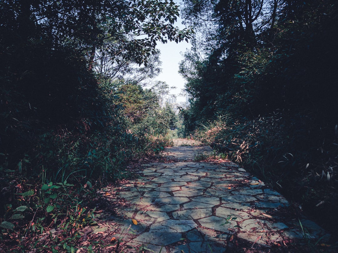 거인의 길: 예술과 자연의 조화 - 44 Causeway Rd | Secret World Trip Planner