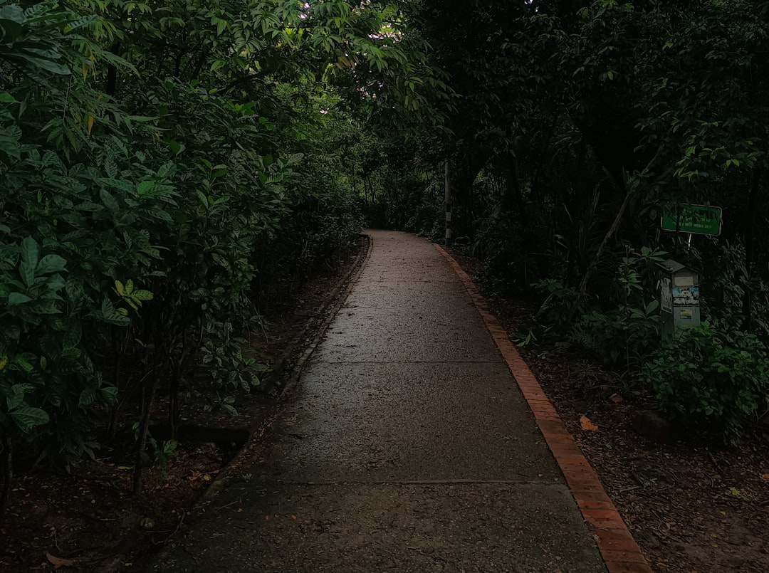 巨人之路:艺术与自然的和谐之旅 - 44 Causeway Rd | Secret World Trip Planner