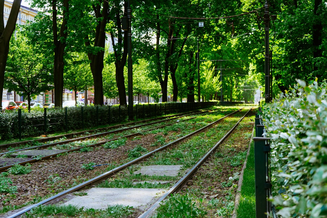 Parque Strzelecki: Arte Contemporânea em Kraków - Zygmunta Augusta 7 | Secret World Trip Planner