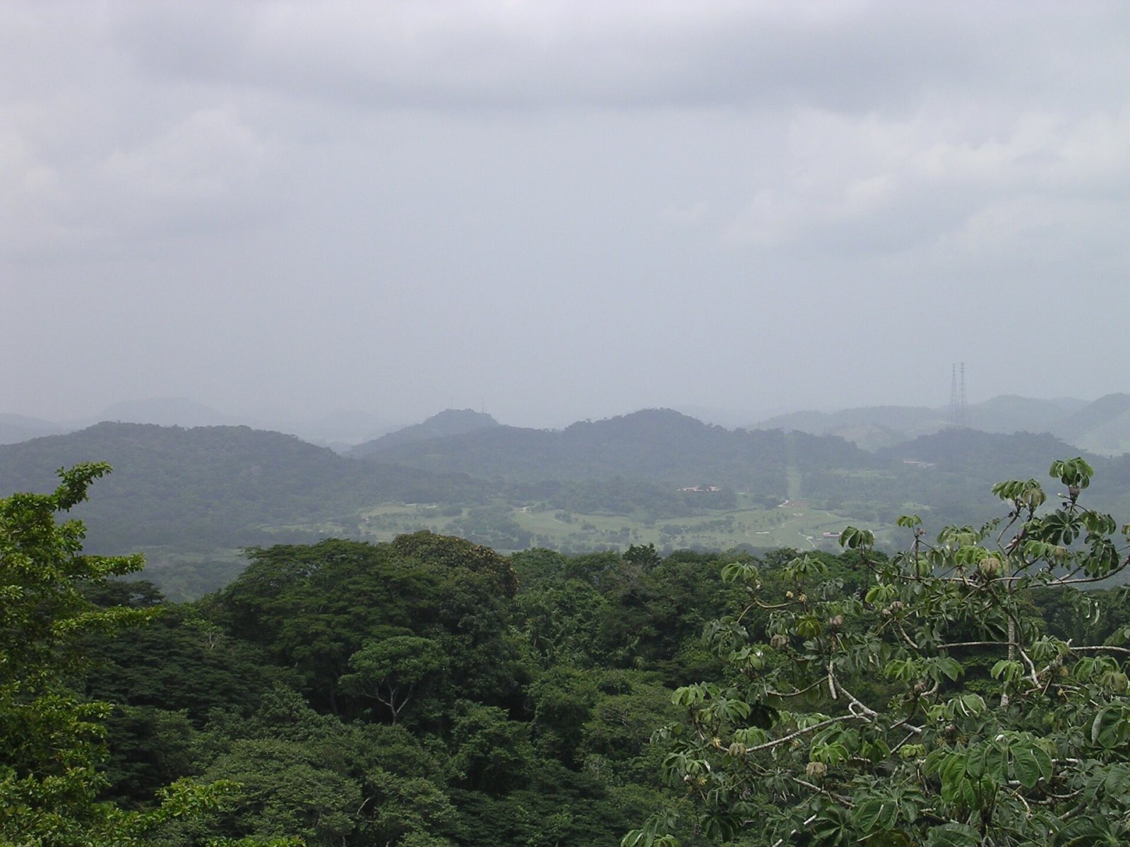 Discover the Canopy Tower: A Unique Experience in Panama - Panama City | Secret World Trip Planner