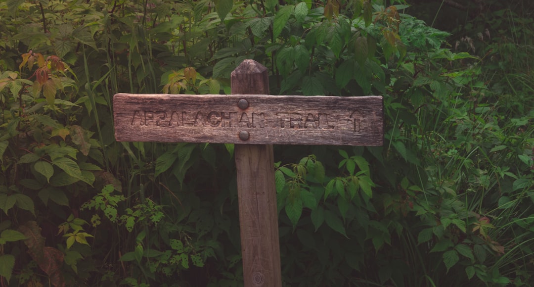 Откройте для себя Аппалачскую тропу - Appalachian National Scenic Trail | Secret World Trip Planner