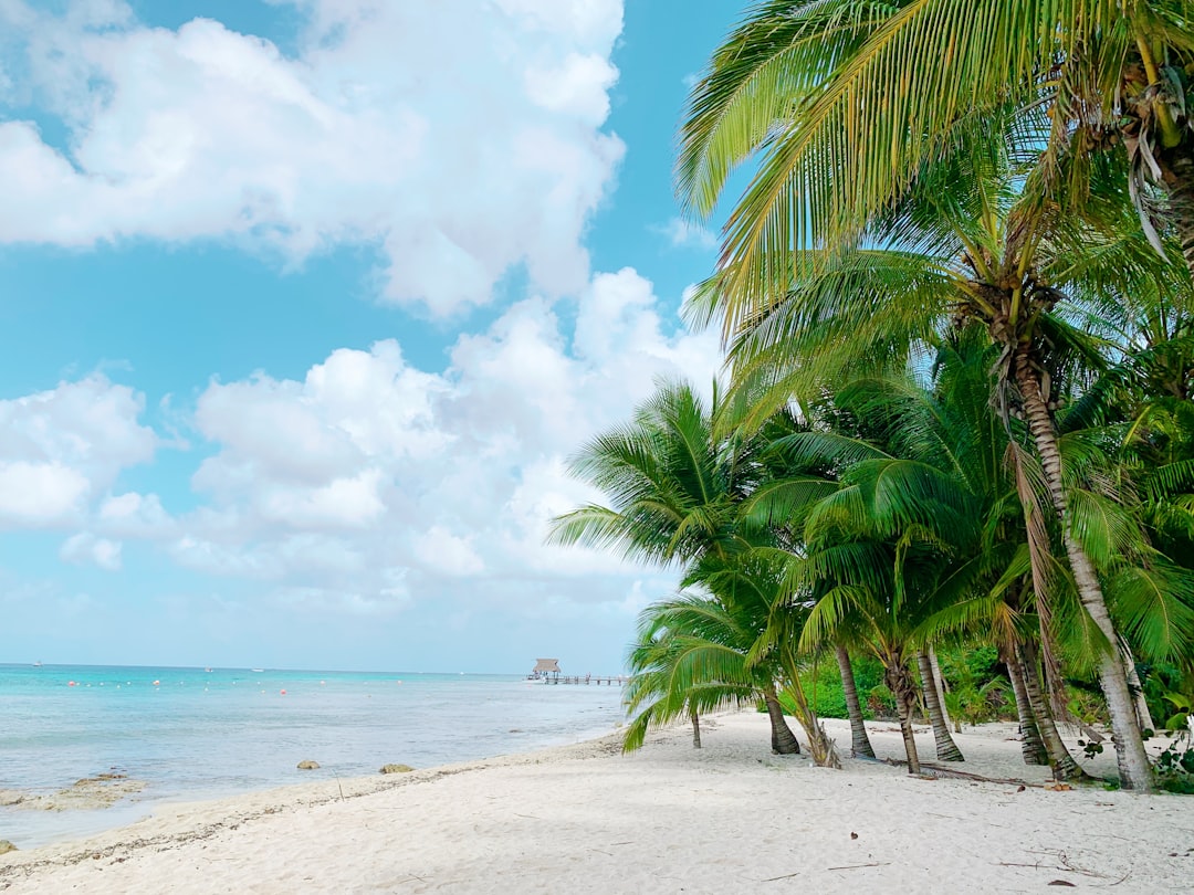 Cozumel: Ein Inselparadies im Herzen der Karibik - Cozumel | Secret World Trip Planner