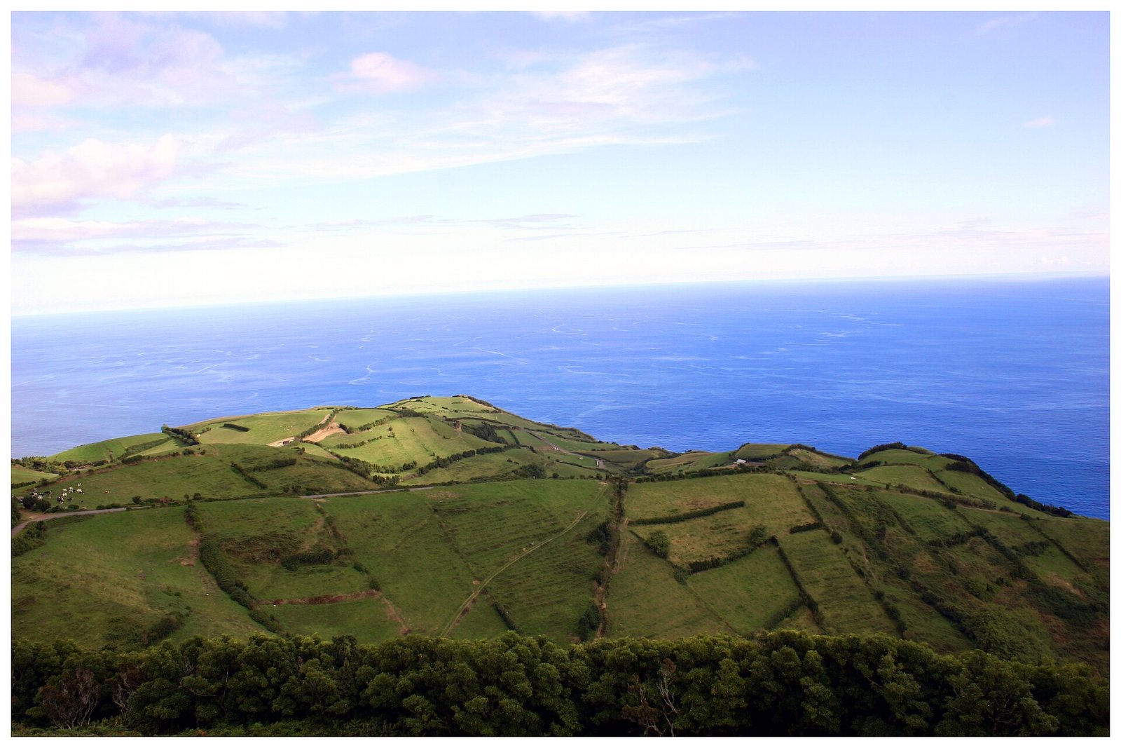 Pico dos Bodes : Un Paradis Naturel aux Açores - Paul do Mar | Secret World Trip Planner