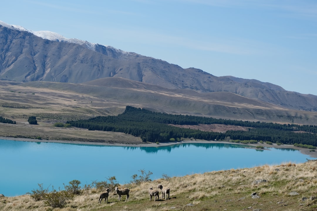 ジョン山天文台で星を観察する - Tekapo 7999 | Secret World Trip Planner