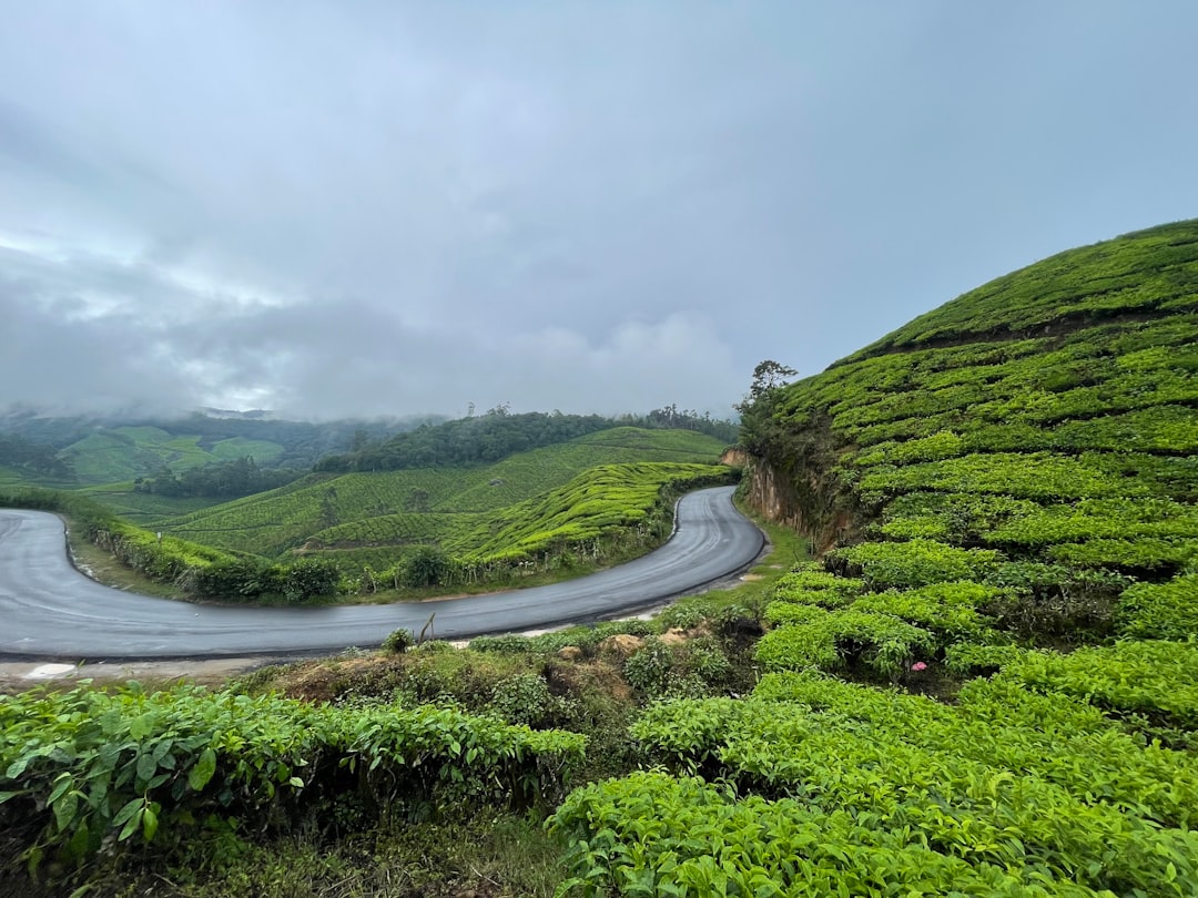 Муннар: Рай среди чайных плантаций - Munnar | Secret World Trip Planner