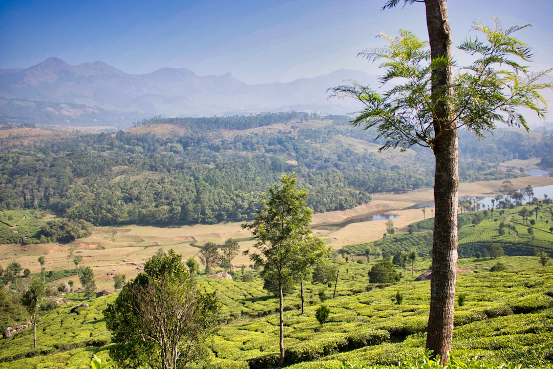 ムンナール:茶畑の楽園でのひととき - Munnar | Secret World Trip Planner