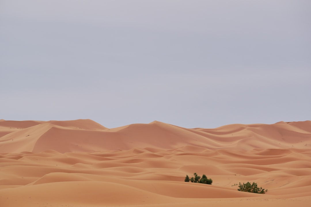 Merzouga: Magia e Silêncio no Deserto do Saara - Merzouga | Secret World Trip Planner