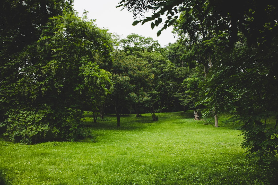 Découvrez le Parc Jardin Sigurtà : un Paradis Vert - 1 | Secret World Trip Planner