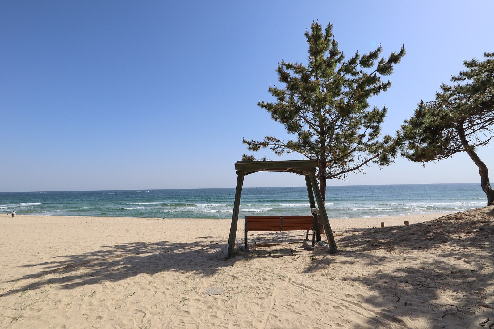 점문진 해변 발견하기: 한국의 숨겨진 천국 - 강릉시 | Secret World Trip Planner