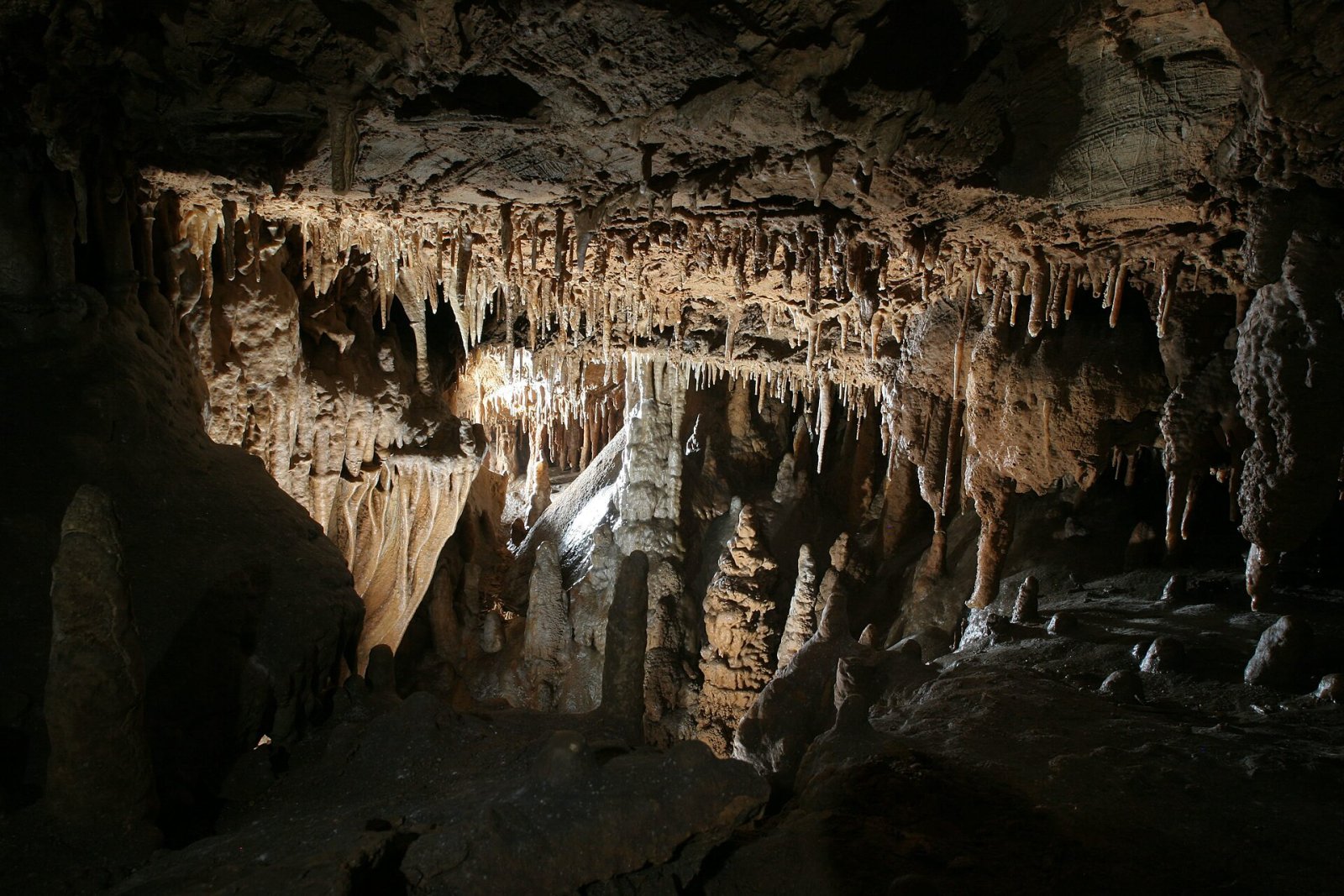 Explora la Magia de la Nodong Cave en Corea del Sur - Danyang-gun | Secret World Trip Planner