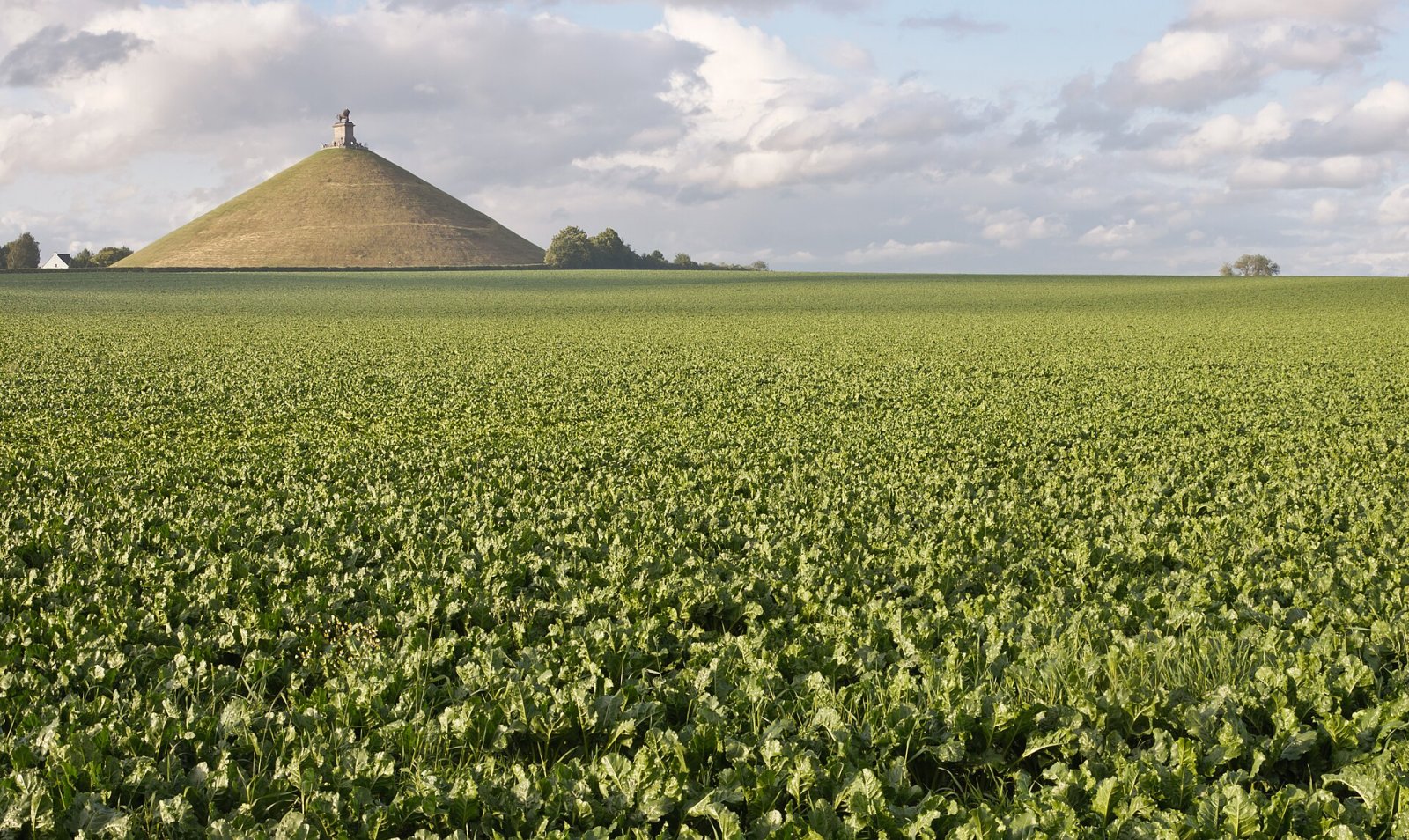 Scopri il Campo di Battaglia di Waterloo: Storia e Cultura - WATERLOO Monument Gordon | Secret World Trip Planner