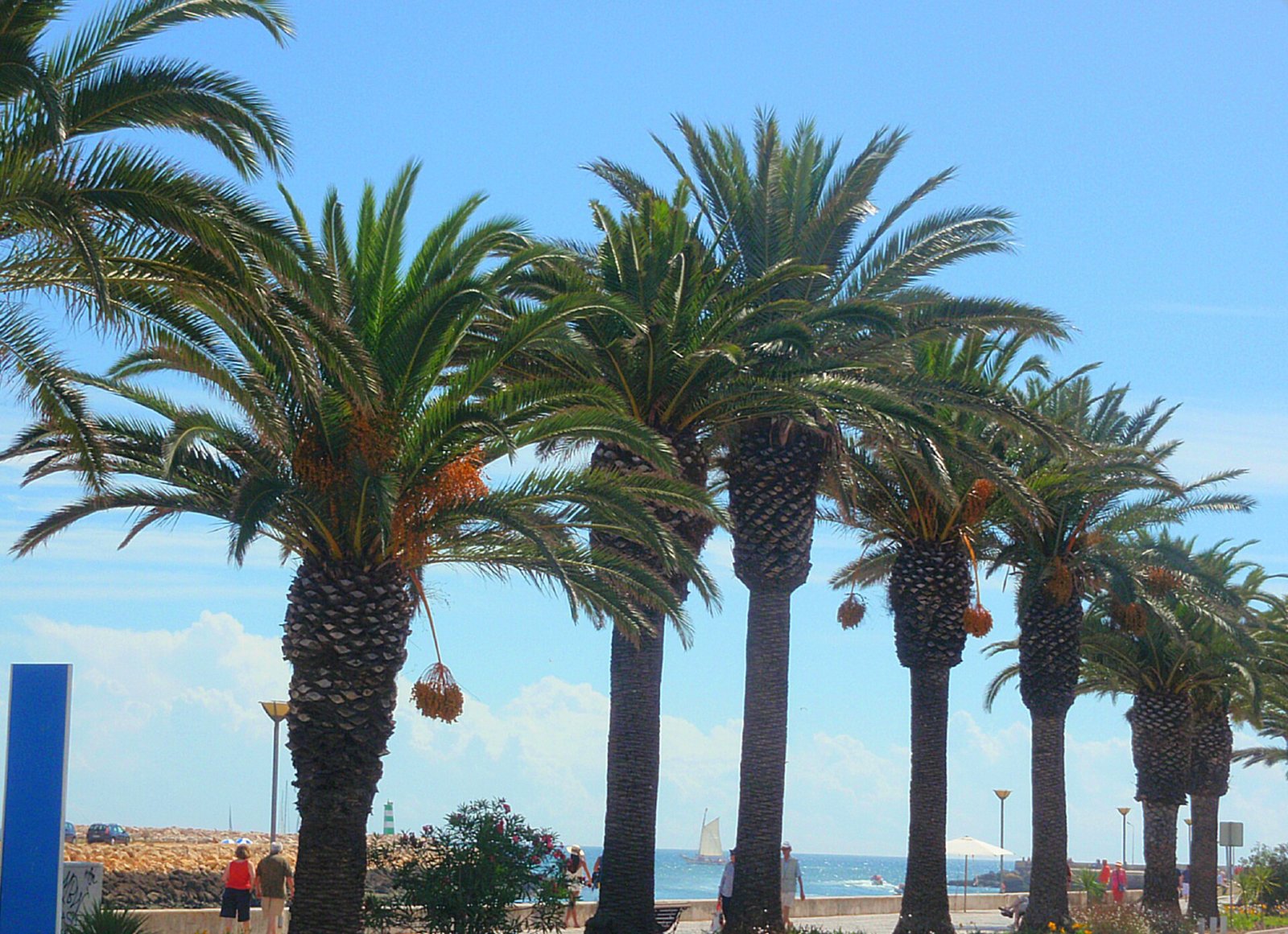 Descubra o encanto do Algarve em Lagos: natureza e aventura | Secret World Trip Planner