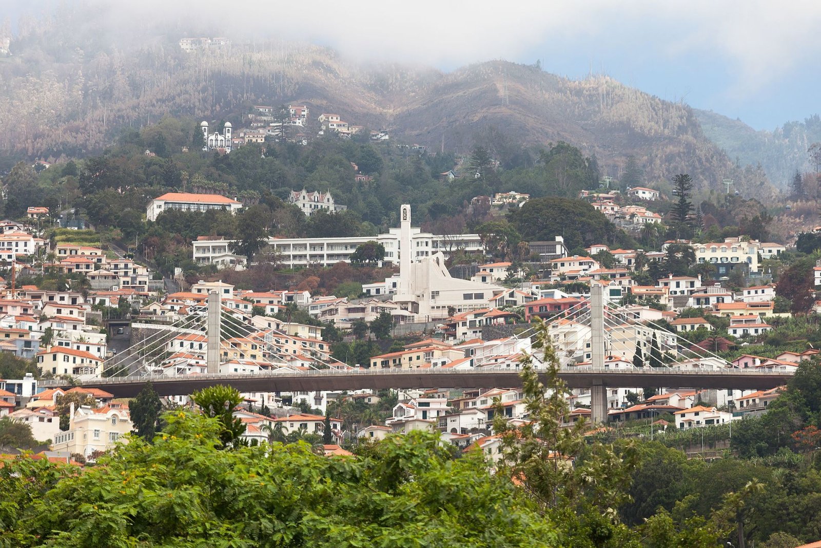 Esplora le Levadas di Madeira: Un Viaggio Tra Natura e Cultura | Secret World Trip Planner