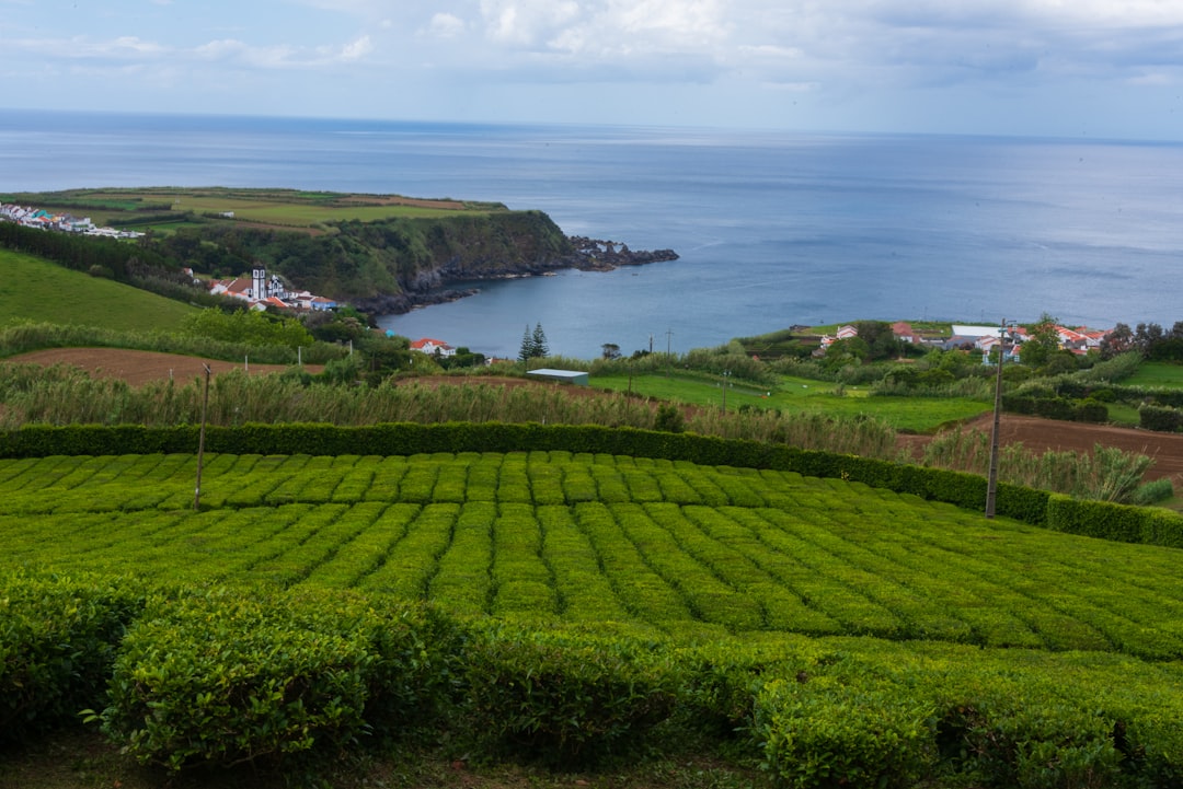 Découvrez Ponta Delgada : la porte des Açores | Secret World Trip Planner