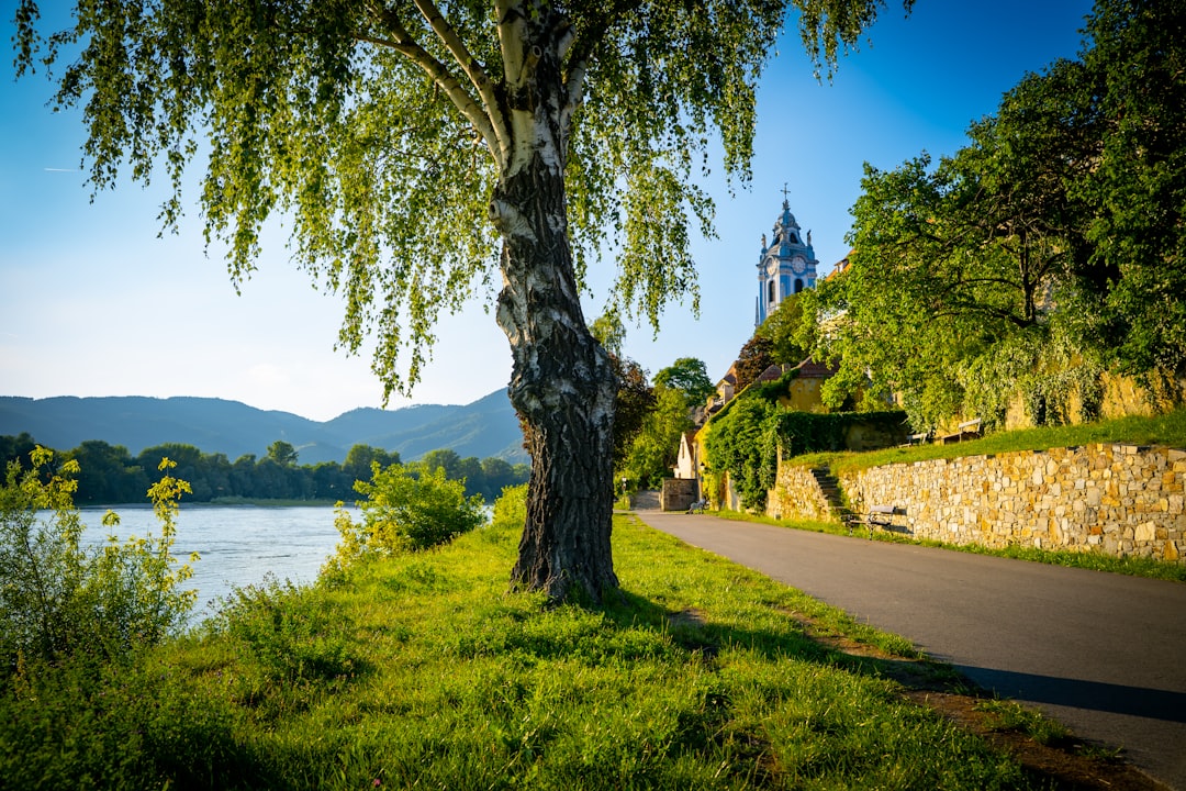 바하우 계곡 발견하기: 오스트리아의 보석 - Mautern an der Donau | Secret World Trip Planner
