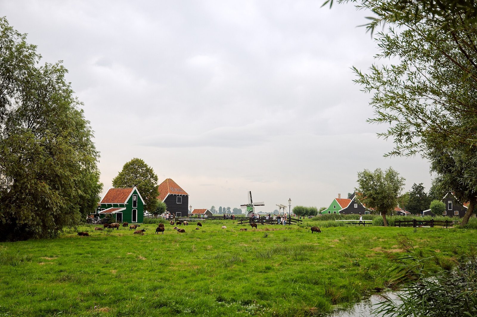 Découvrez Zaanse Schans : un joyau de la culture néerlandaise - Zaandam | Secret World Trip Planner