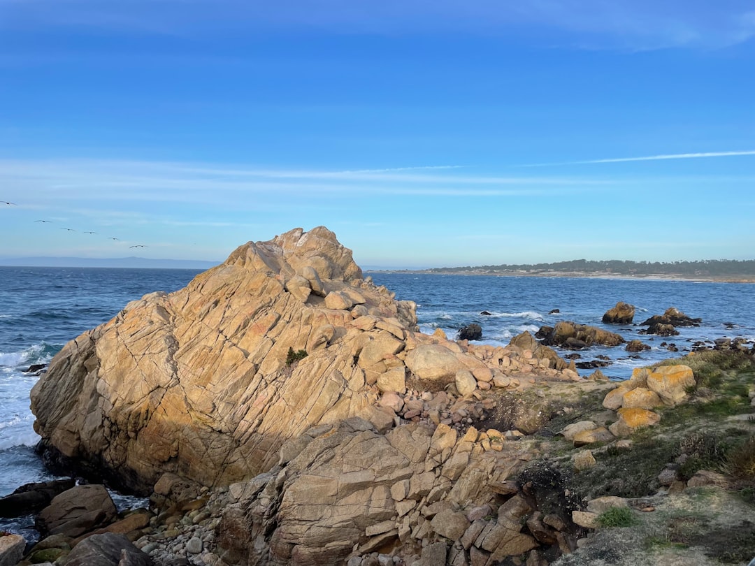 波因特苏尔灯塔:加州海岸的明灯 - Monterey | Secret World Trip Planner