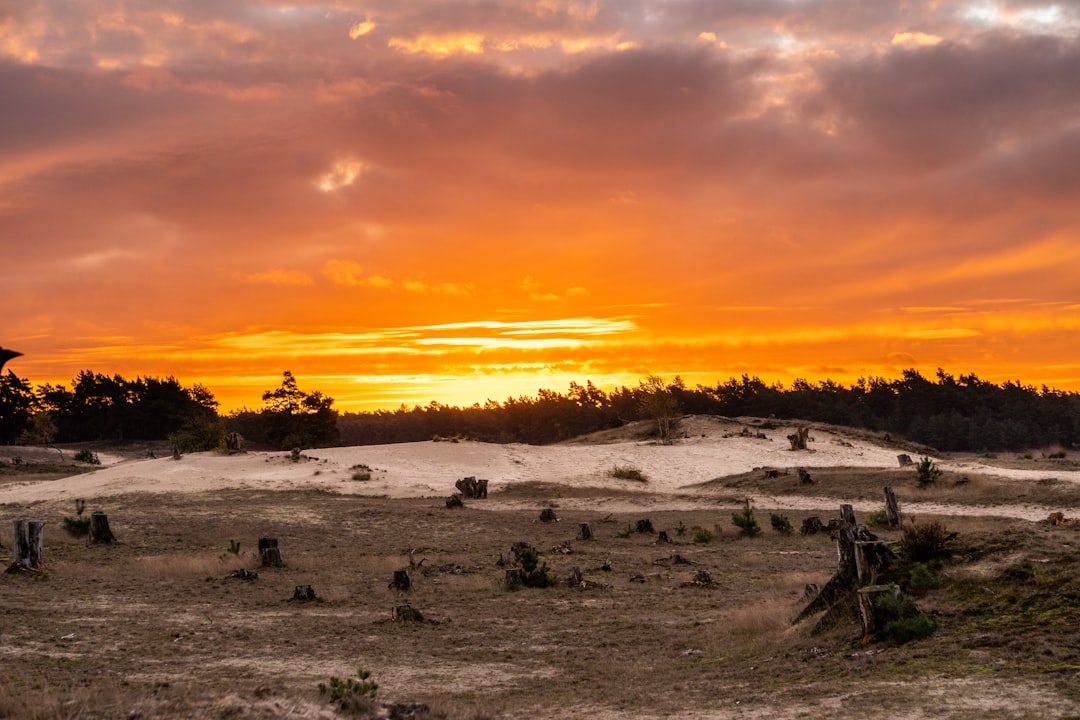 Discover the Beauty of Hoge Veluwe National Park - Otterlo | Secret World Trip Planner