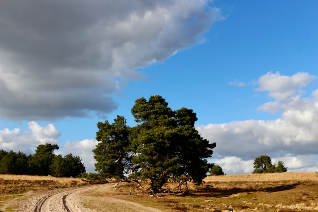 Entdecken Sie die Schönheit des Nationalparks Hoge Veluwe - Otterlo | Secret World Trip Planner
