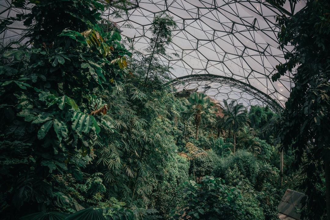 Entdecken Sie das Eden Project: Eine Reise zwischen Natur und Kultur in England - 9P5V+VV Mettet | Secret World Trip Planner