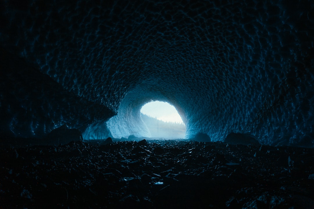 Scoprire le Grotte di Waitomo: Un Mondo Magico - Waitomo Caves | Secret World Trip Planner