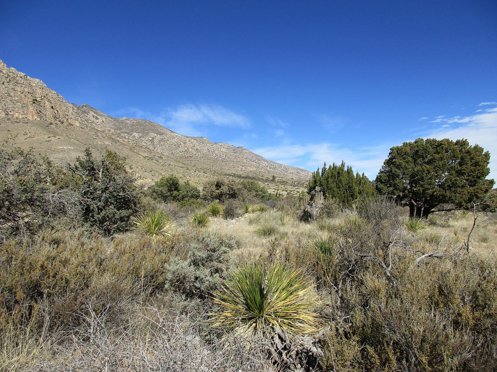 Guadalupe Mountains Nationalpark: ein Naturjuwel in Texas - Mianyang | Secret World Trip Planner