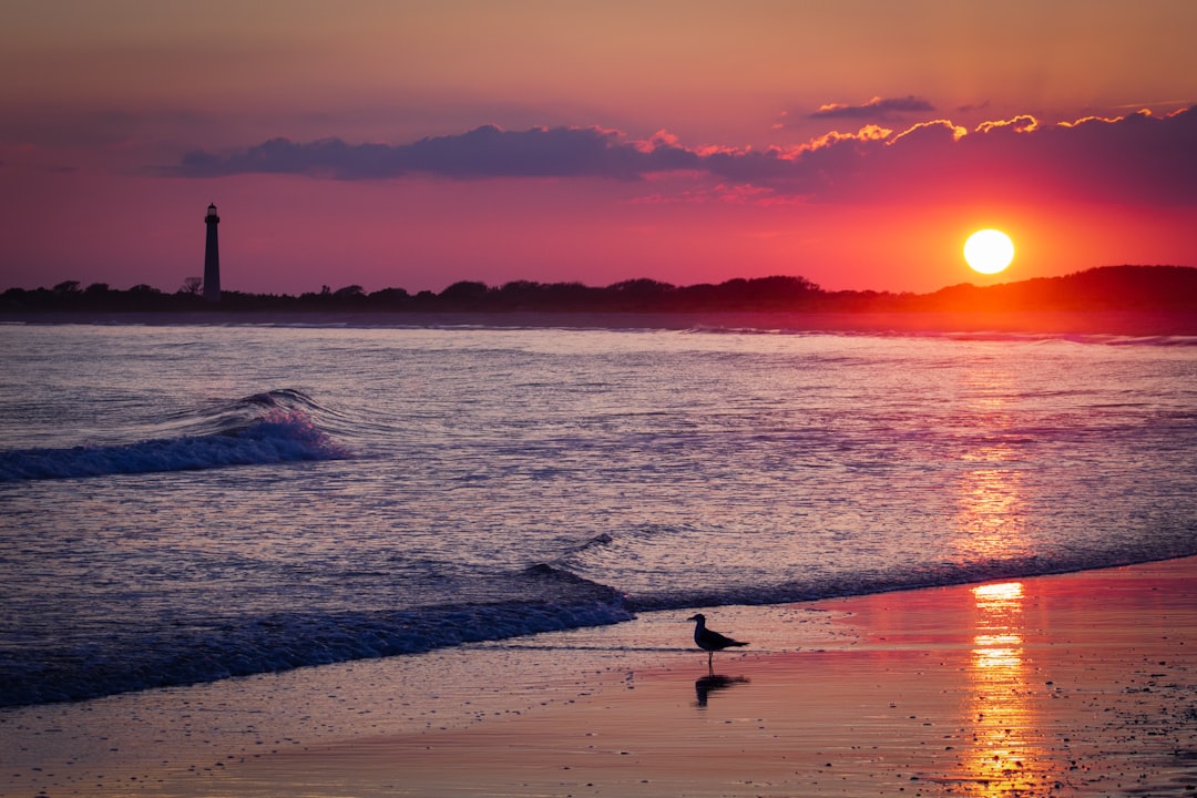 O Farol de Cape May: Uma Viagem no Tempo e na Beleza - Cape May | Secret World Trip Planner