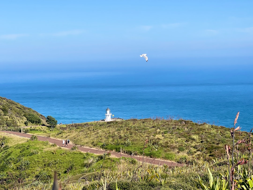 レイニガ岬の灯台:海が出会う場所 - Capo Reinga 0484 | Secret World Trip Planner