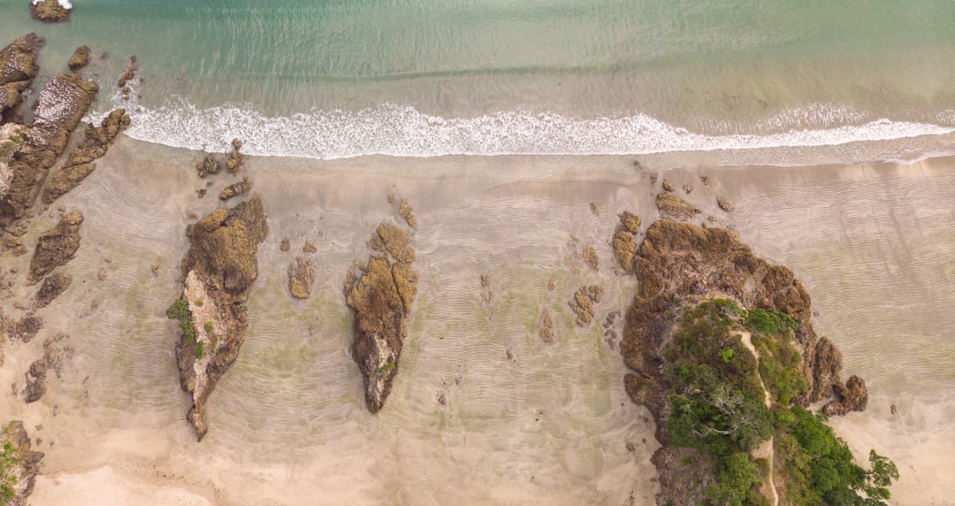 꿈의 해변: 뉴질랜드 와이헤케 섬 탐험하기 - Isola Waiheke | Secret World Trip Planner