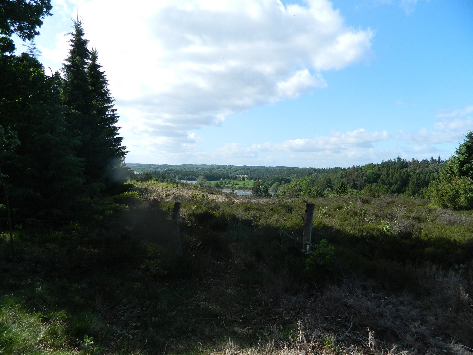 Sukkertoppen: uma joia natural da Dinamarca - 2MQG+CM Skanderborg | Secret World Trip Planner