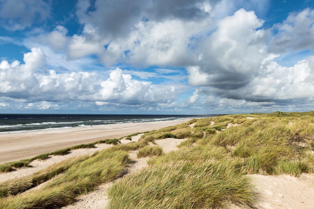 Discover Stoubjerg: The Enchanting Hill of Denmark - 4JW7+HP Silkeborg | Secret World Trip Planner
