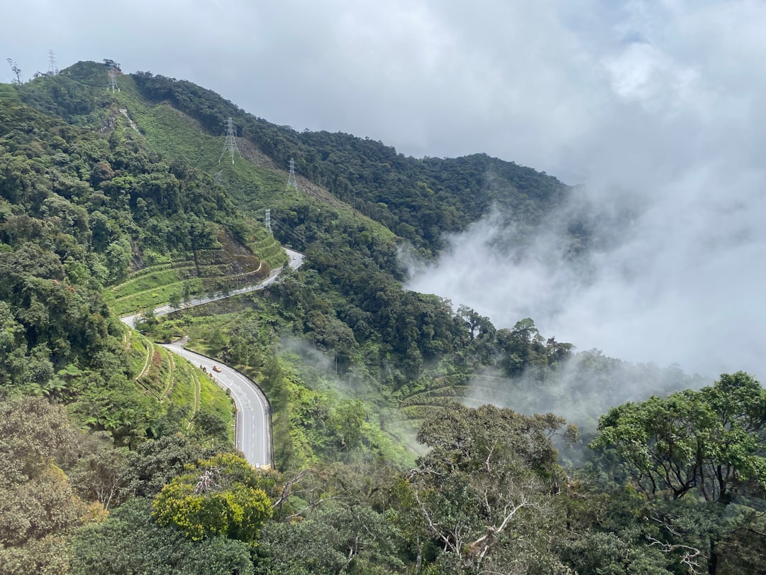 ガヌン・チェメンドンを発見:マレーシアの自然の宝石 - Kulai | Secret World Trip Planner