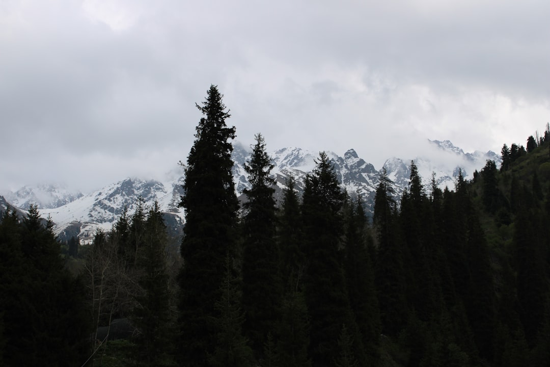 Almaty Entdecken: Der Grüne Markt und seine Wunder - Almaty | Secret World Trip Planner