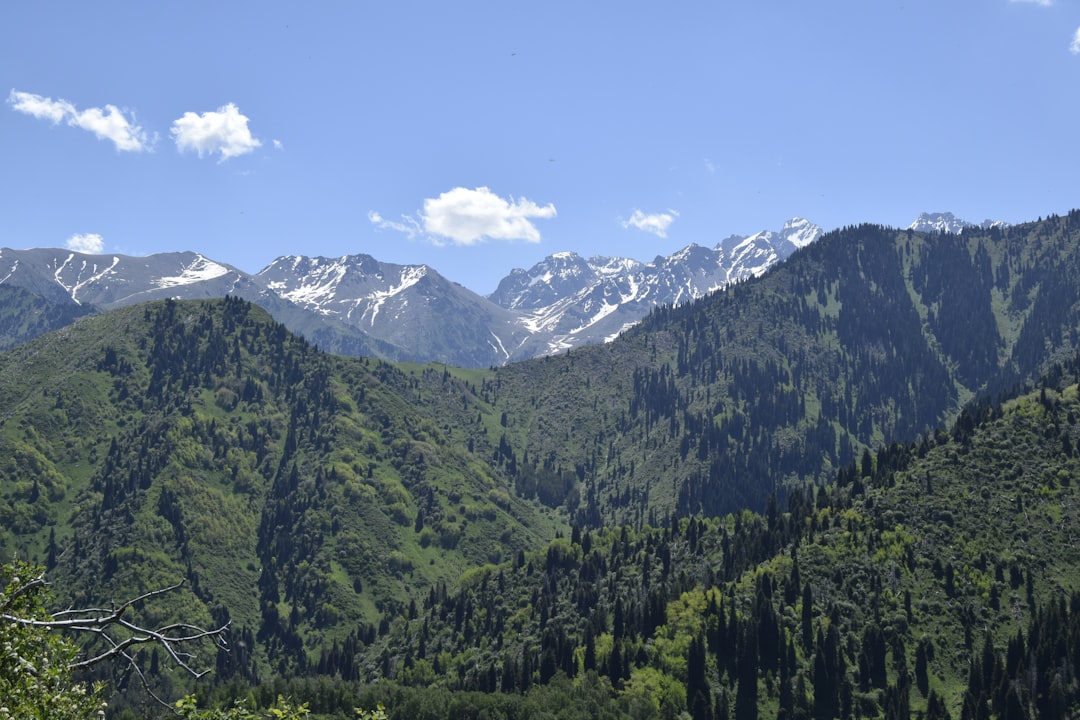 Découvrir Almaty : Le Marché Vert et ses Merveilles - Almaty | Secret World Trip Planner